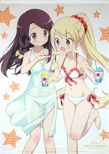 ハロー!!きんいろモザイク カレン＆穂乃花 描き下ろしB2タペストリー Anime Japan 2016