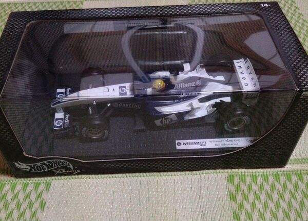 WILLIAMS F1 BMW FW25 (ラルフシューマッハ仕様)