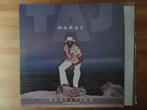 taj mahal / evolution ●タジ・マハール●国内盤●