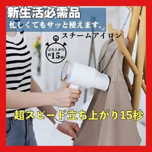 【15秒立ち上がり】スチームアイロン ハンガーにかけたまま 衣類 2段階スチーム 170ml 新生活のプレゼント