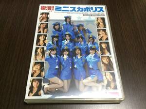 ◆復活ミニスカポリス DVD 藤井梨花 蜂須賀ゆきこ 川奈栞 滝ありさ 芝田翔生子 安藤あいか 斉藤まや 一ノ瀬優里 はづき 井上結華 高瀬有紗