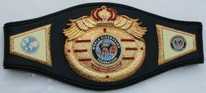 海外　限定品　送料込み 世界空手連盟 WKF チャンピオン　優勝　ベルト　高品質　等身大サイズ　レプリカ 　20