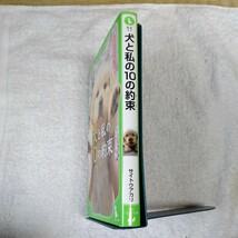 犬と私の10の約束 (角川つばさ文庫) 新書 サイトウ アカリ 霜田 あゆ美 9784046310941_画像3