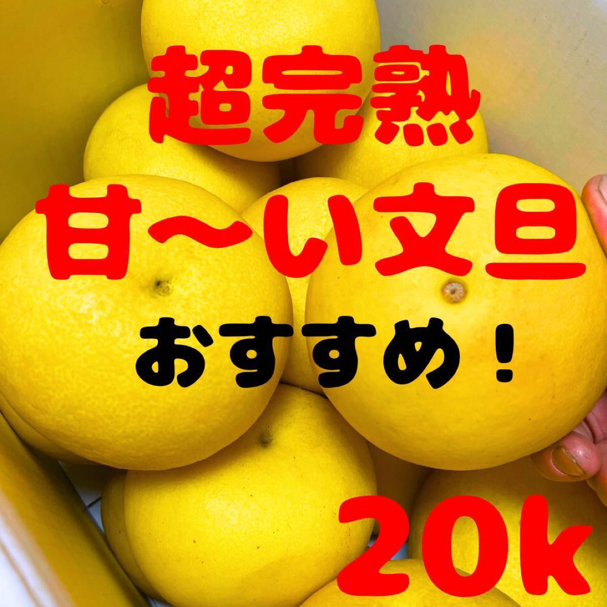 新素材新作超特大 剥きやす〜い 大きい文旦 48 果物 | isarastrology.org