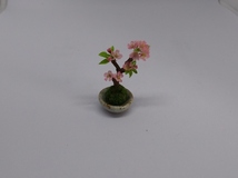☆再出品☆　maco’s　miniature flower♪桜苔玉♪_画像5
