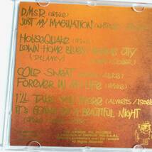 中古CD コレクターズCD プリンス Prince Nightclubbing The Swingin' Pig TSP-CD-094 _画像5