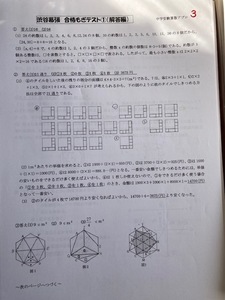 中学受験 渋谷教育学園幕張中学校　2025年新合格への算数プリント