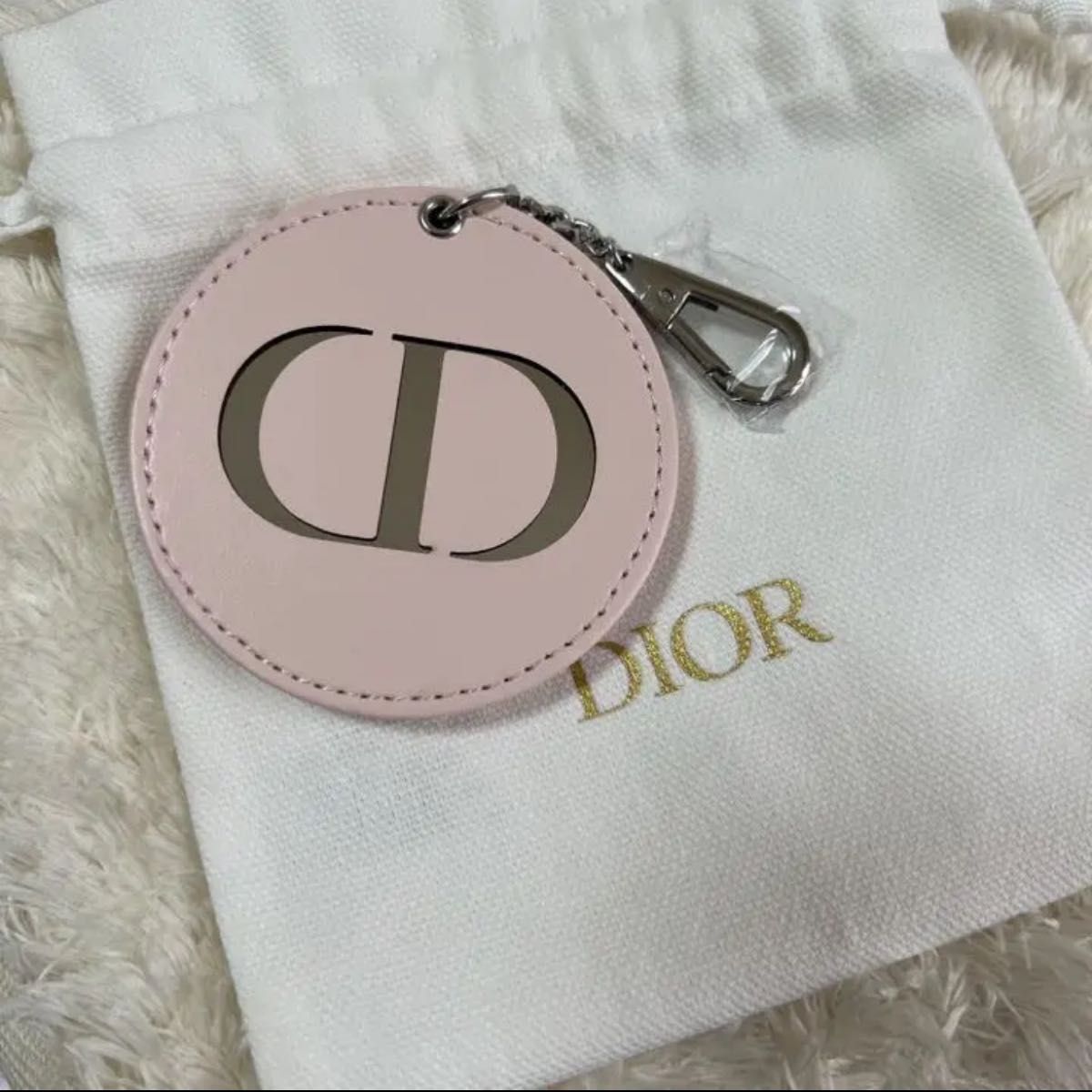 新作入荷!!】 ル Dior ディオールポーチ - akgtcanada.com