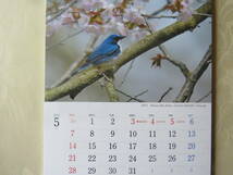 2023 野鳥カレンダー「BIRDS IN SEASONS」日本野鳥の会 1210円絵葉書としても使えます 格安_画像2