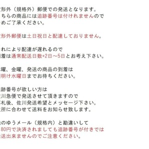 T【V8-92】【送料無料】♪ポピー 大戦隊ゴーグルファイブ 4WD ゴーグルクーガー/※経年品・電池ボックスのふた欠品の画像9