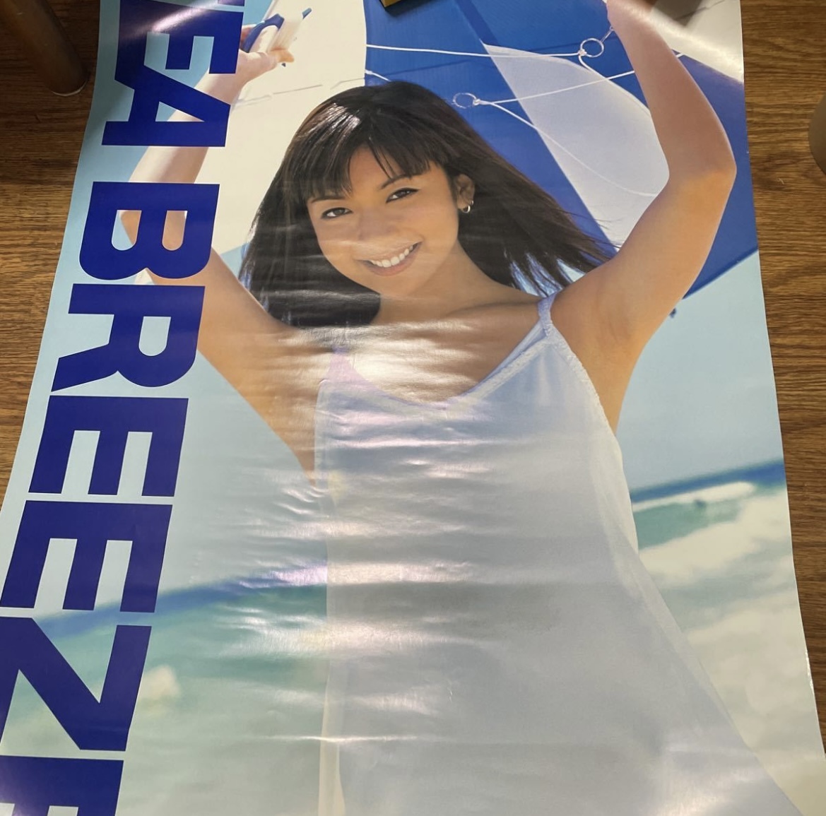 非売品☆店頭用 資生堂 SEA BREEZE シーブリーズ 持田香織 ポスター-