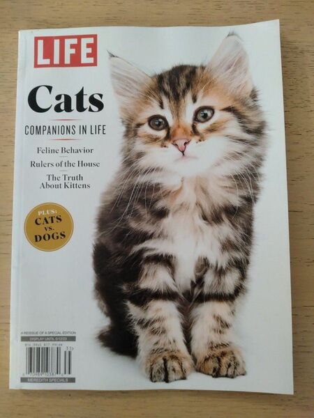 洋書 最新号 LIFE Cats