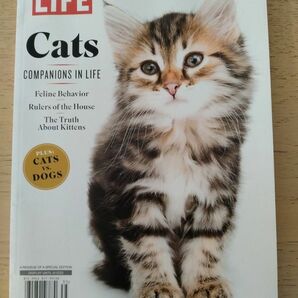 洋書　最新号 LIFE Cats