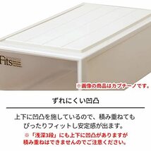 天馬 衣装ケース フィッツケース クローゼット用 ホワイト S-53 カプチーノ 幅39×奥行53×高さ18cm_画像8