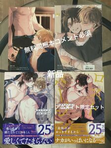 【無料同梱本コメント必須】那木渡　ロストバージン how to sex 上　リーフレット　下　アニメイト限定セット　新品　＋2冊