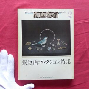 版画芸術2【銅版画コレクション特集/特別書簡:長谷川潔-私の創作技法/ピカソ/萩原英雄/日本銅版作家大系/カルズー】