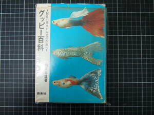 D-0980　グッピー百科　飼育の基本から美の作出へ　和泉克雄　西東社　昭和46年4月20日