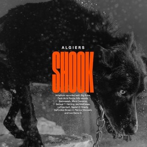 ALGIERS / SHOOK (LTD / GOLD VINYL) (2LP)