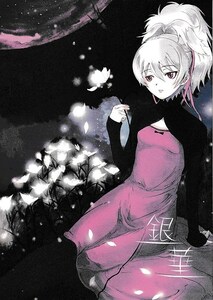 DARKER THAN BLACK papercrown(ぺぱくら)[銀華](DTB,永田翼)