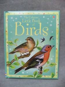  foreign book *THE Usborne Little Book of Birds ( birds )/ Sarah Khan