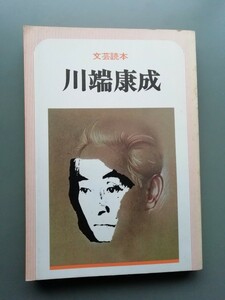  литературное искусство читатель Kawabata Yasunari 