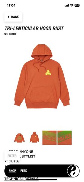 パレス palace tri renticular hoodie サイズL