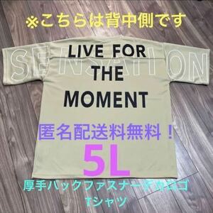 5L☆BEバック大ロゴ厚手プリントTシャツ大きいサイズ半袖ベージュ