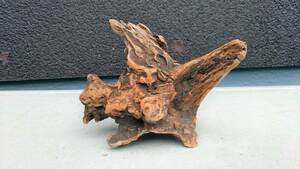  driftwood B10 15 centimeter 12 centimeter 8 centimeter 