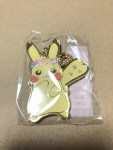 ポケモン メタルチャーム Pikachu&Eievui’s Easter グッズコレクション ピカチュウ イースター