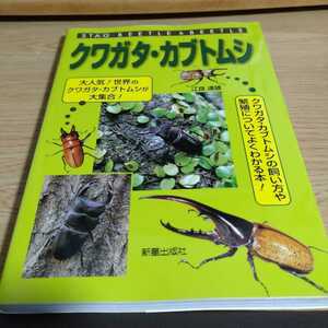  stag beetle * rhinoceros beetle . good . male used book