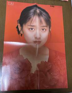 Yuki Saito Sugoroku плакат 57 см x 40 см № 2 63
