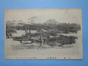 b3914福岡県筑前芦屋鶴松絵葉書