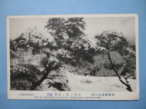 b4119長崎県温泉公園白禿の松絵葉書
