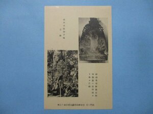 b4716山口県長門一ノ谷住吉神社所蔵国宝古鐘と古楠絵葉書