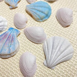 【まとめ売り】貝殻小〜大15個セット　装飾品　インテリア