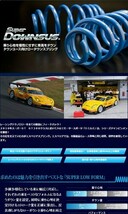 全国送料無料(離島を除く) 代引不可 エスペリア スーパーダウンサス 【ESM-5772】マツダ CX-30 1台分_画像2