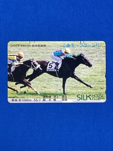 テレカ　50度数　シルキーラグーン　2002年8月25日　新馬戦優勝　競馬　送料無料