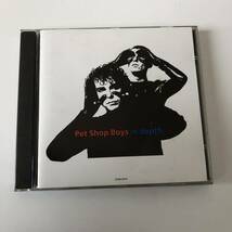 国内盤☆☆ペット・ショップ・ボーイズ/PET SHOP BOYS／イン・デプス/In Depth☆☆_画像1