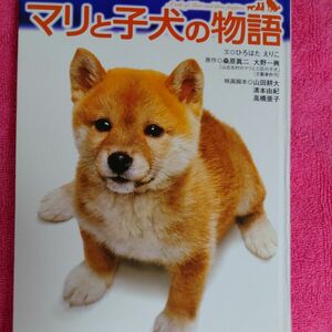 マリと子犬の物語　　家族で読んで欲しい　心育ち　