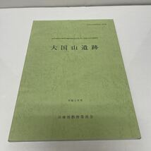 大国山遺跡 兵庫県教育委員会埋蔵文化財調査事務所（編）兵庫県加古川市 西神吉町 遺跡 埋蔵文化財発掘調査 土器 遺物 墓_画像1