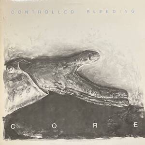 LP Controlled Bleeding Core インダストリアル ノイズ NEW WAVE