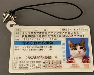 元祖なめ猫 なめんなよ なめねこ 昭和レトロ 免許証ストラップその21新品未使用 ヤンキー 暴走族 トレカ 当時モノ 旧車會 ツッパリヤンキー