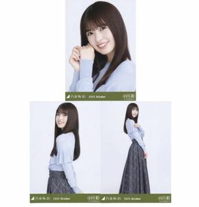 【C117】乃木坂46 公式グッズ 小川彩　生写真 3枚コンプ　 ヨリチュウヒキ　ウィンドウペンチェック乃木坂46 2022.October　限定品