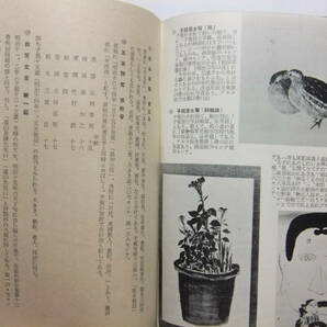 ☆☆V-7295★ 昭和30年 愛媛県 郷土芸術館 正岡子規 俳聖子規展 目録 小冊子 ★レトロ印刷物☆☆の画像7