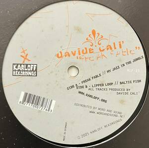 [ 12 / レコード ] Davide Cali / Freak Fable ( Techno / Minimal ) Karloff Rekordings - KLF 15 ミニマル テクノ