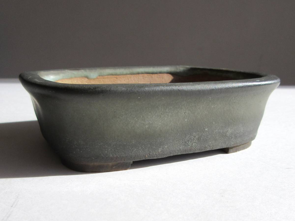 ヤフオク! -盆栽鉢 東福寺(鉢)の中古品・新品・未使用品一覧