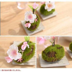 【新品/2個セット】ミニ桜苔玉 造花 花材 置物 インテリア アートフラワーの画像2