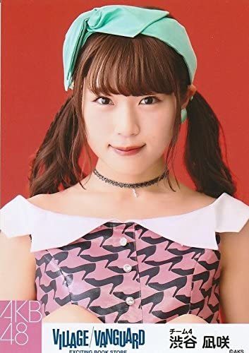 AKB48×ヴィレッジヴァンガード】【推しがヴィレヴァン店員に