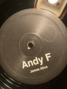 中古　Andy F James Alive House, Funk ジェームスブラウン「SEX MACHINE」ネタ　JB