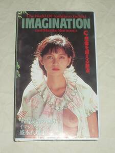 サザンクロスビデオアーツ 立木義浩の世界 IMAGINATION イマジネイション 盛本真里子 VHS 変換DVD付